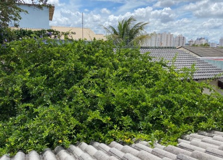 Sobrado Jardim Atlntico - Sobrado de 4 quartos 210m no Jardim Atlntico em Goinia